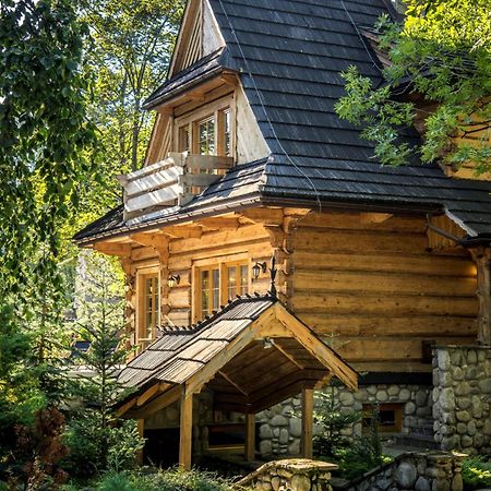 Вилла Dom Crocus Закопане Экстерьер фото